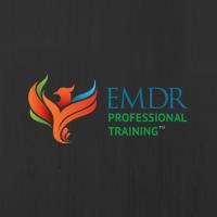 EMDR Professional Training image 1